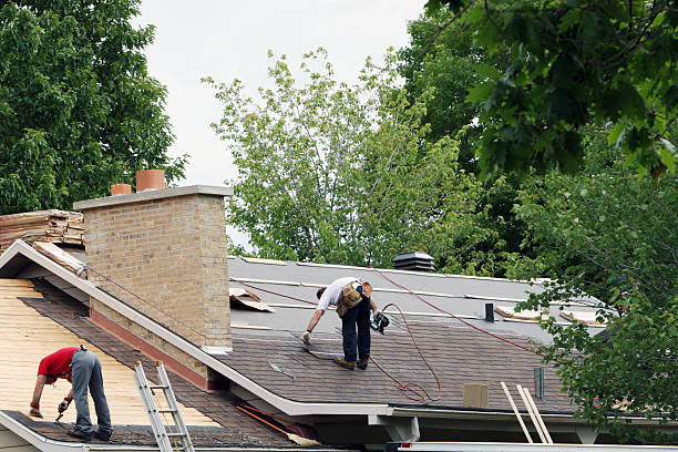 Professional Roofing Contractor in Ecorse, MI