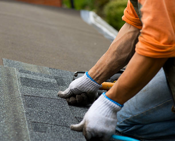 Best Roof Leak Repair  in Ecorse, MI