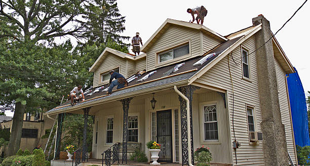 Best Commercial Roofing Services  in Ecorse, MI