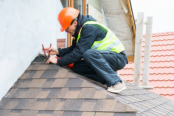 Best Roof Inspection Near Me  in Ecorse, MI