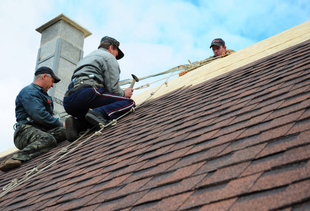 Best Residential Roofing Contractor  in Ecorse, MI